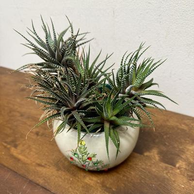 Potted Plant #5 small pottery pot with Christmas Tree design