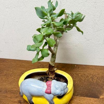 Potted Plant #6 small ceramic pot with sleeping cat