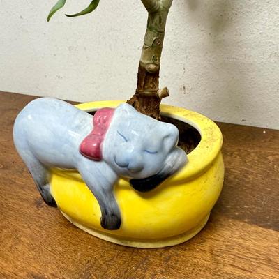 Potted Plant #6 small ceramic pot with sleeping cat