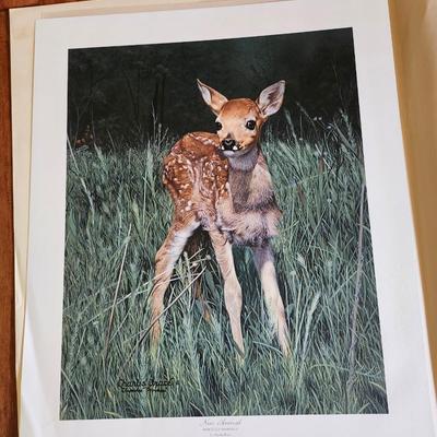 Sale Photo Thumbnail #487: 24 x 20 inches, no COA 
Limited Edition Print by
Charles Frace’
Published by the American Masters Foundation’
Jacketed = in a closed envelope to protect the print
Signed = Signature on the print
CERTIFICATE OF AUTHENTICITY – COA
  OR LETTER OF LIMIT