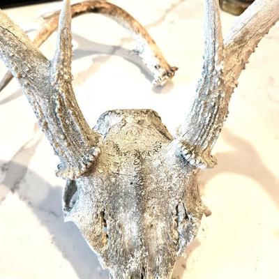 Deer Antler Rack