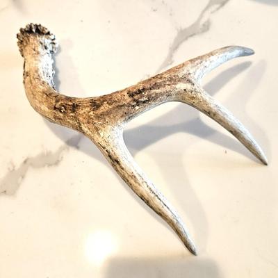 Deer Antler Rack