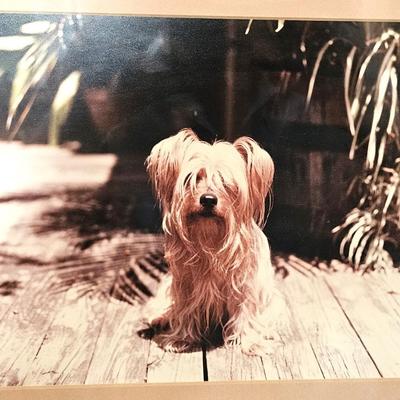 Sale Photo Thumbnail #105: in good condition