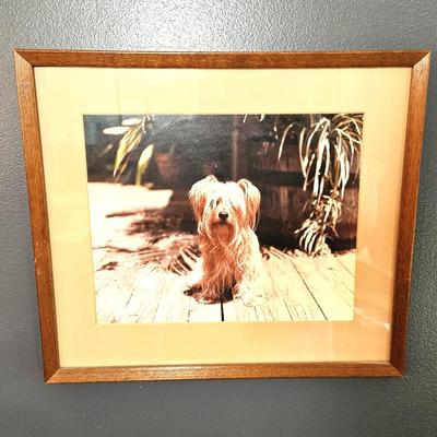 Sale Photo Thumbnail #104: in good condition