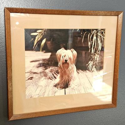 Sale Photo Thumbnail #106: in good condition