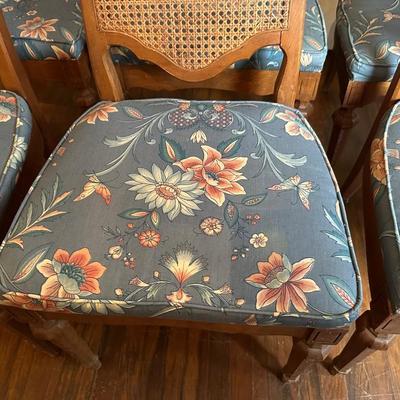 Cane-Back Dining Chairs with Upholstered Seats - Set of 6