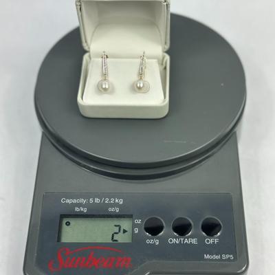 Lot 48: 10k Gold Earrings with Stone - 2g