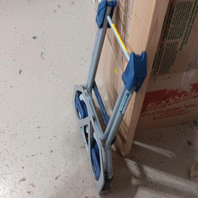 FOLDING DOLLY AND A CARRY-ON BAG WITH WHEELS