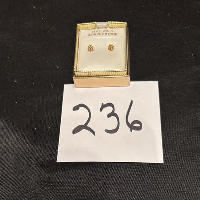 Earring Lot