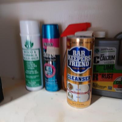 HOUSEHOLD CHEMICALS