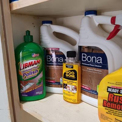HOUSEHOLD CHEMICALS