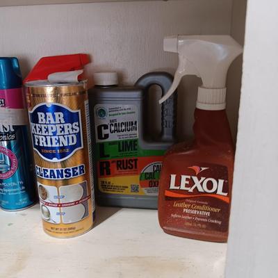 HOUSEHOLD CHEMICALS