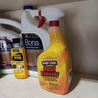 HOUSEHOLD CHEMICALS