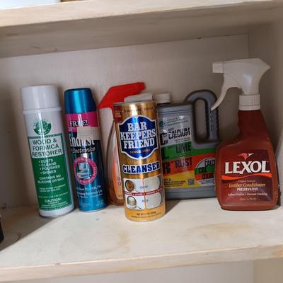 HOUSEHOLD CHEMICALS