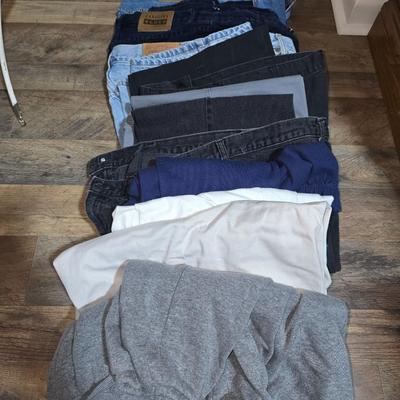 Womens pants