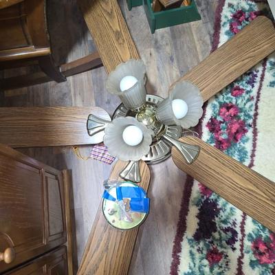 Ceiling fans
