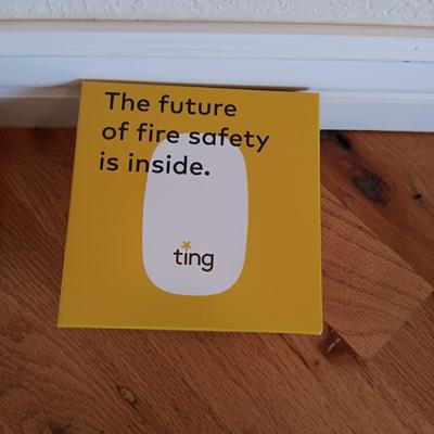 TING, THE FUTURE OF FIRE SAFETY