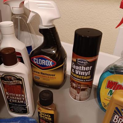 HOUSEHOLD CLEANERS