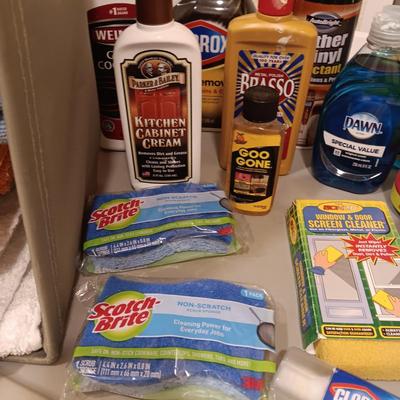HOUSEHOLD CLEANERS