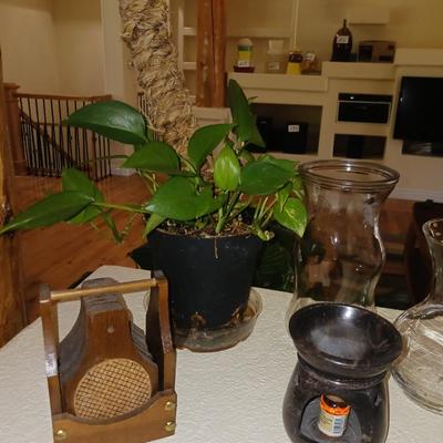SMALL PLANTS AND VASES
