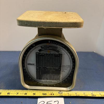 Pelouze Postal Scales