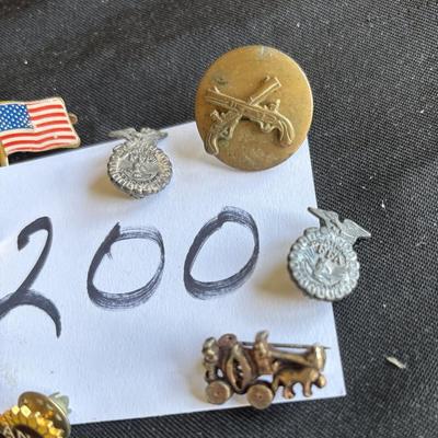 Pin Lot