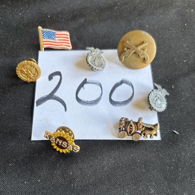 Pin Lot