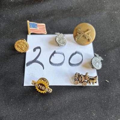 Pin Lot