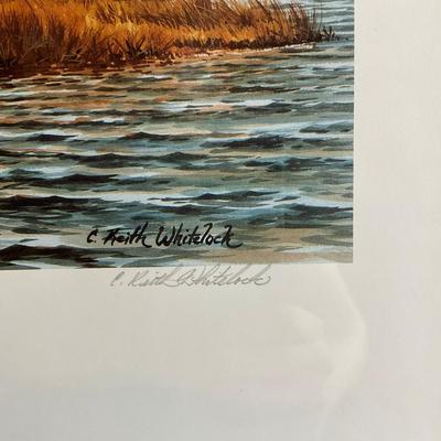 PR414 Signed C. Keith Whitelock Print "Chesapeake Backwater" Maryland Sponsor 1989
