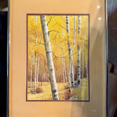 Lovely Birch Forest Watercolor