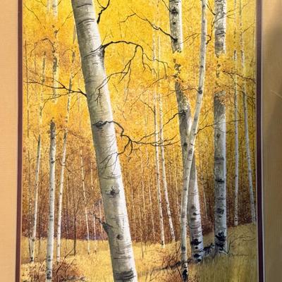 Lovely Birch Forest Watercolor