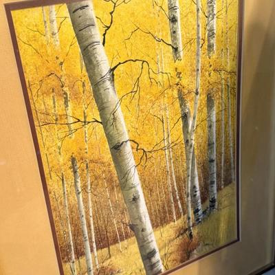 Lovely Birch Forest Watercolor