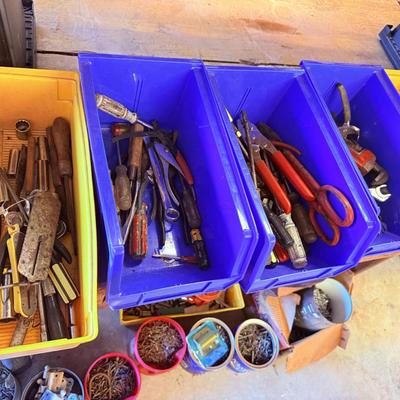 Lot 42: Seperated Tools