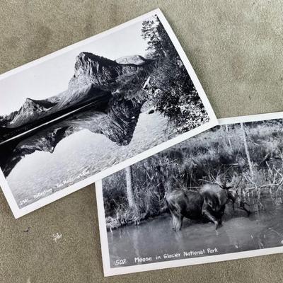 rppc GLACIER NATIONAL PARK TED MARBLE PHOTOS pair 