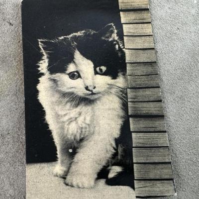 vintage novelty KITTEN NOISEMAKER PHOTO POSTCARD