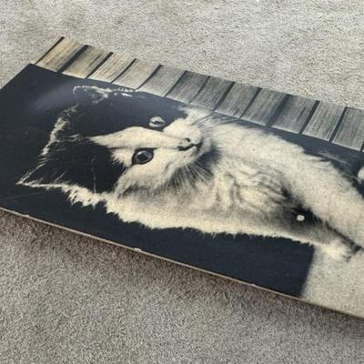 vintage novelty KITTEN NOISEMAKER PHOTO POSTCARD