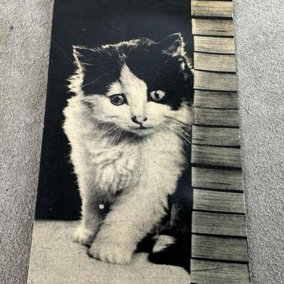 vintage novelty KITTEN NOISEMAKER PHOTO POSTCARD