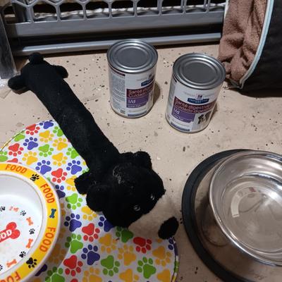 FOR YOUR PET