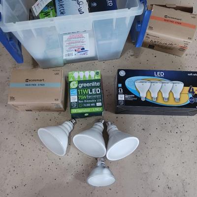 VARIETY LIGHTBULBS