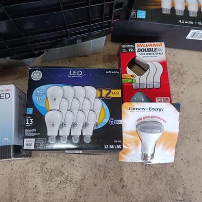 MORE LIGHT BULBS