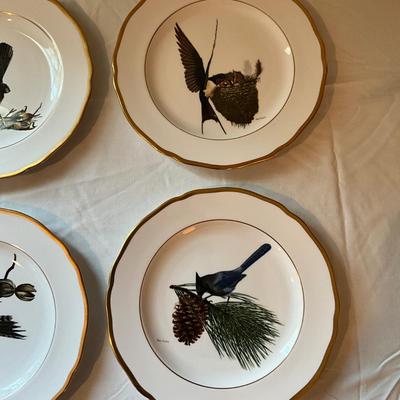 932 Lot of Spode Bird Plates by Ray Harm
