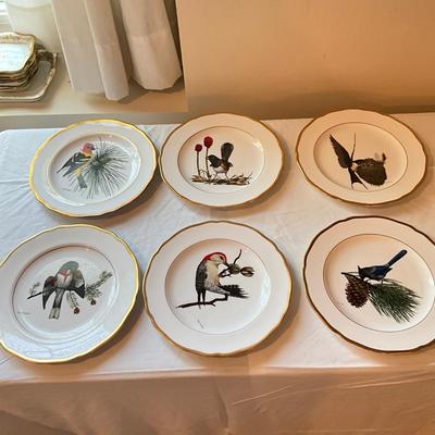 932 Lot of Spode Bird Plates by Ray Harm