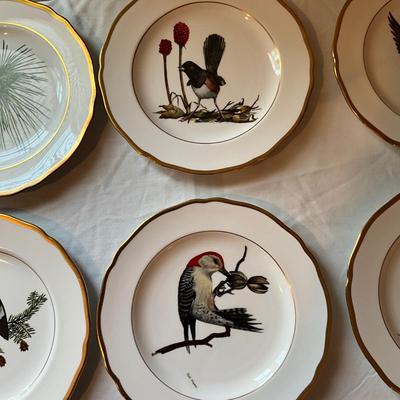 932 Lot of Spode Bird Plates by Ray Harm