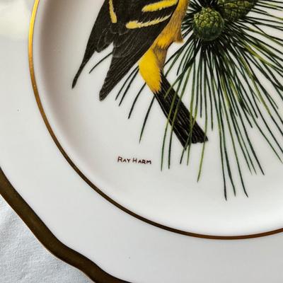 932 Lot of Spode Bird Plates by Ray Harm