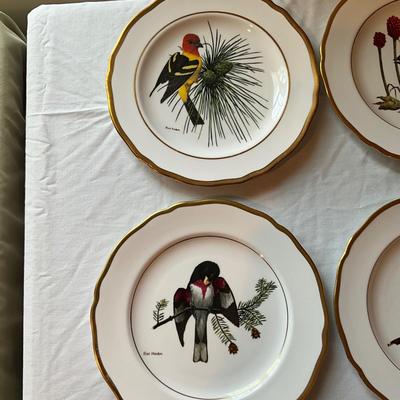 932 Lot of Spode Bird Plates by Ray Harm