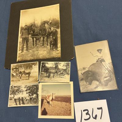 Vintage Photo Lot