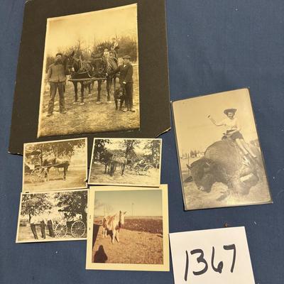 Vintage Photo Lot