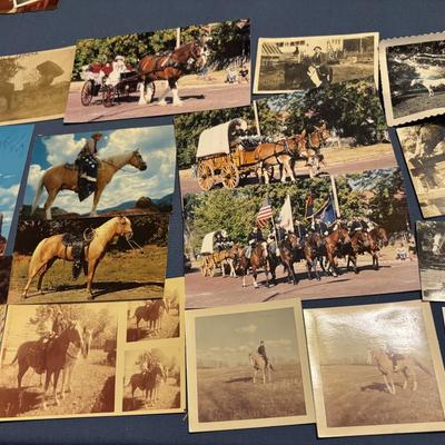 Vintage Horse Pictures