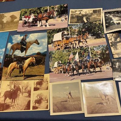 Vintage Horse Pictures