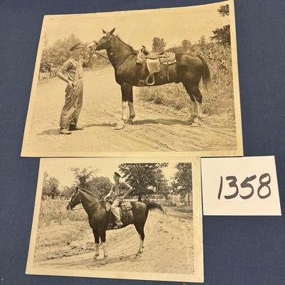 Vintage Horse Pictures